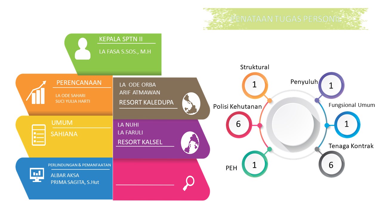 SPTN II