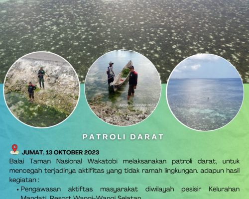 Poster 10